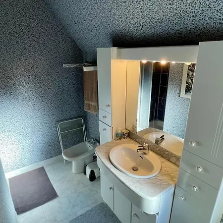 Le Joli Cedre 8pers Dore Holiday home Le Mont-Dore