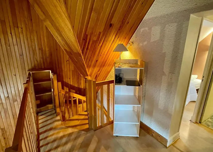 Holiday home Le Joli Cedre 8pers Dore