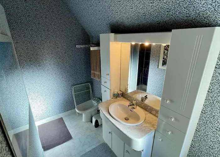 Le Joli Cedre 8pers Dore Holiday home Le Mont-Dore