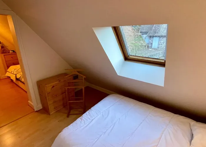 Le Joli Cedre 8pers Dore * Le Mont-Dore